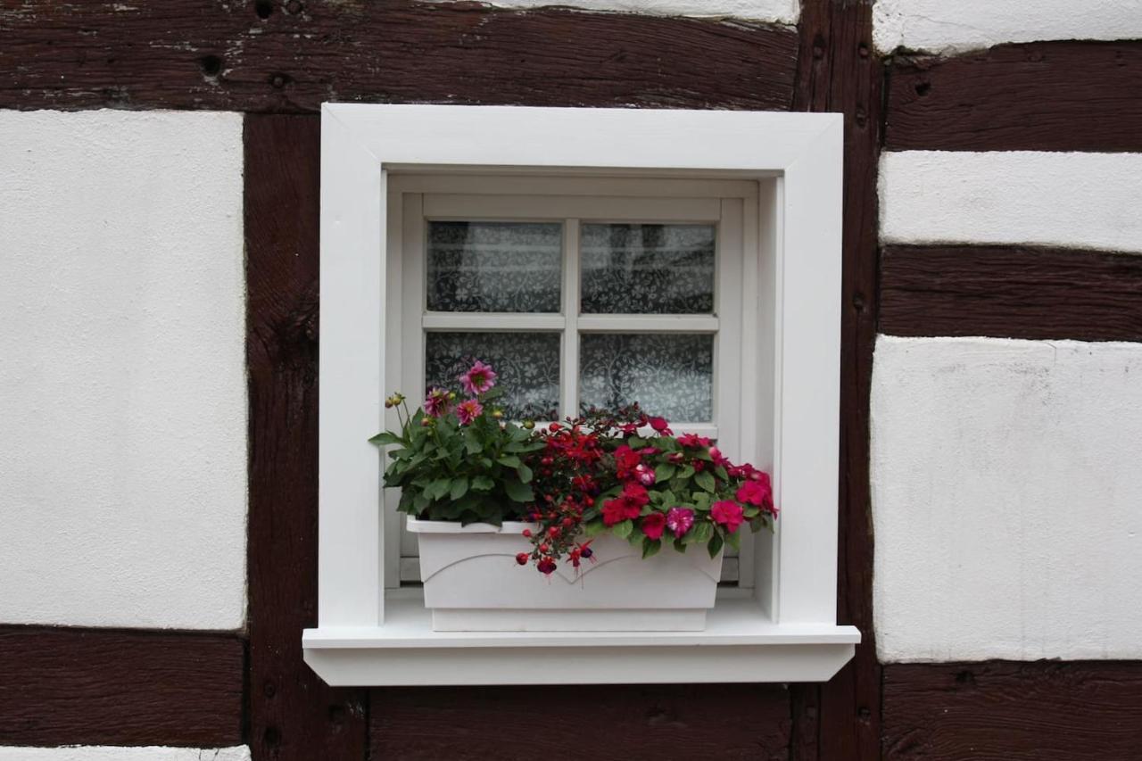 Gemuetliche Fachwerkwohnung Alfter Exterior foto