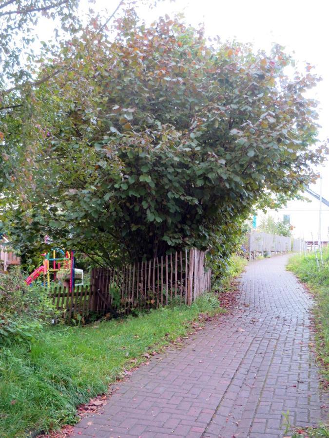 Gemuetliche Fachwerkwohnung Alfter Exterior foto
